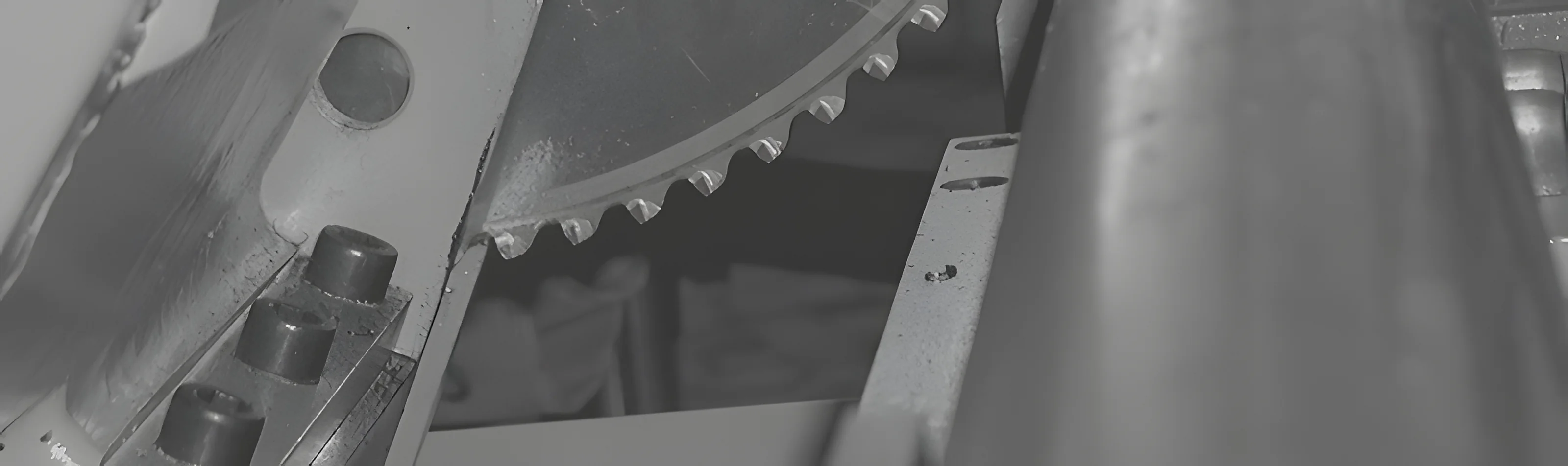 Circular cold saw blade cutting a steel bar in a REMI-EISELE saw
